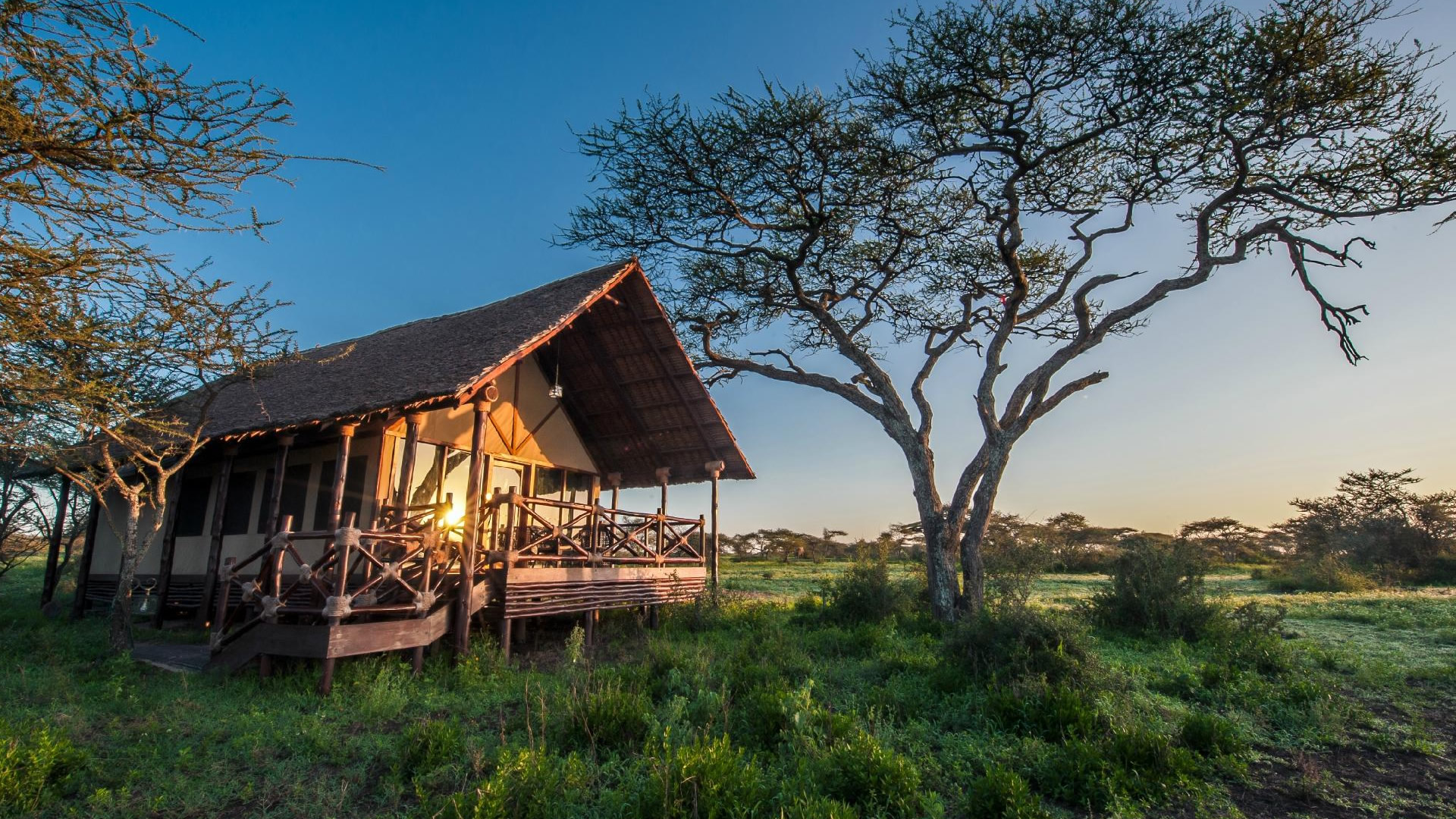 lake ndutu tented lodge