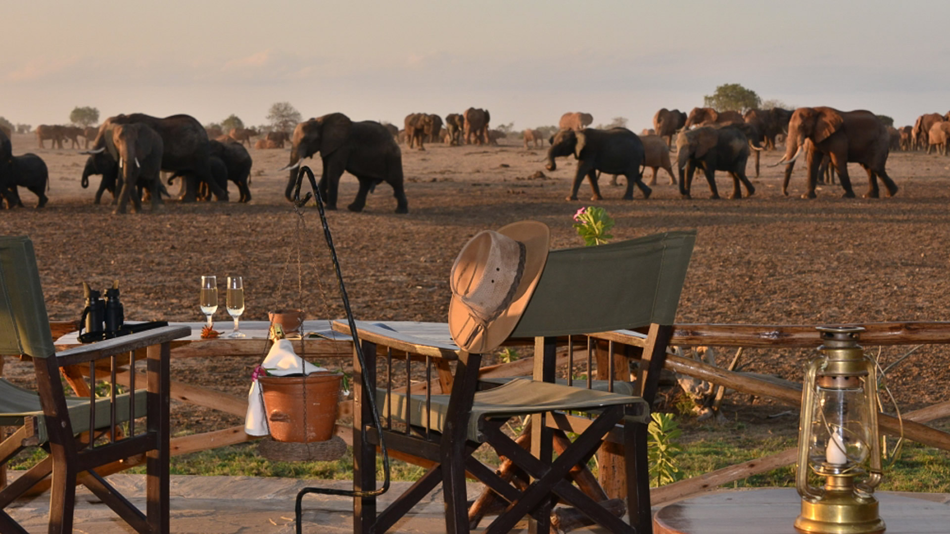 satao camp