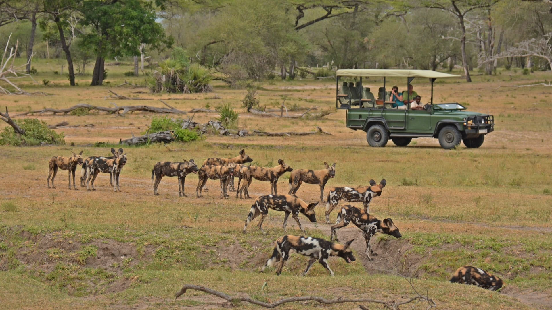 nyerere national park