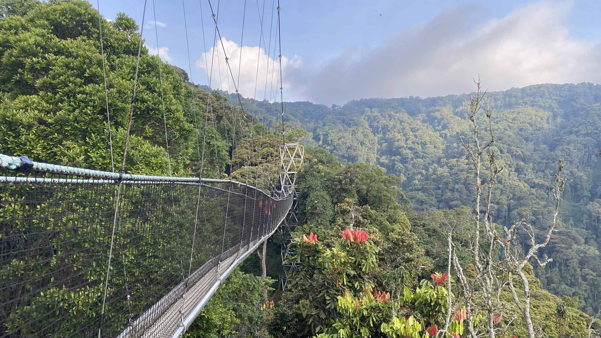nyungwe national park