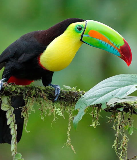 Queen Elizabeth National Park