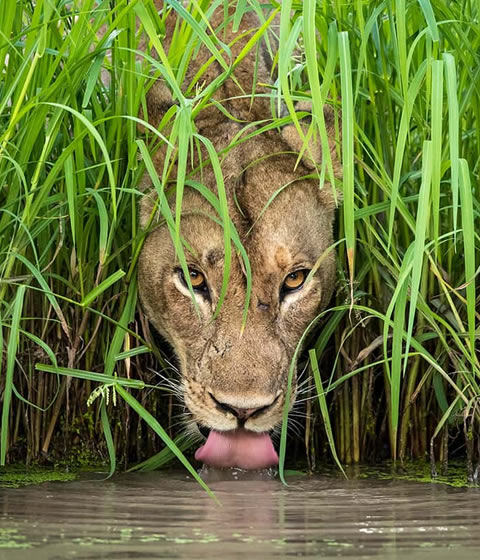 Queen Elizabeth National Park