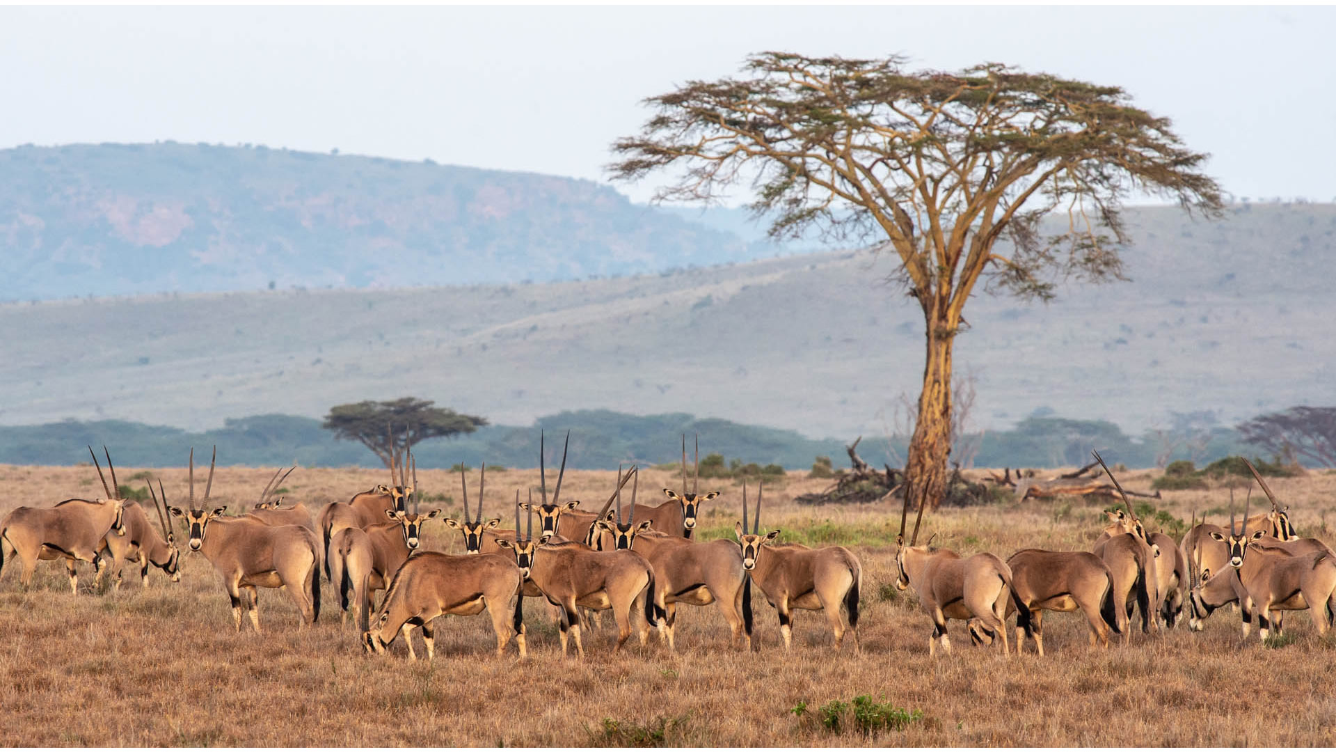 10 days ultimate wilderness experience